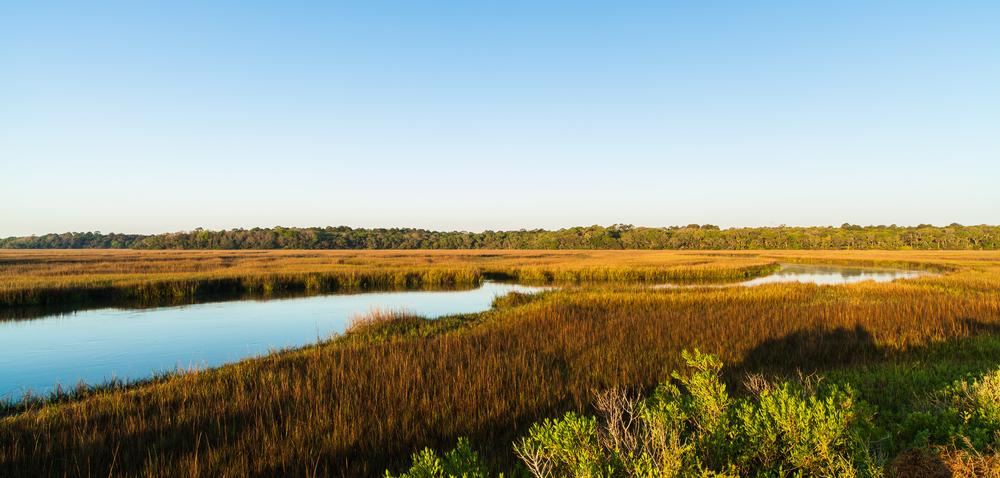 Big Talbot Island State Park - a 40-minute drive from Jacksonville