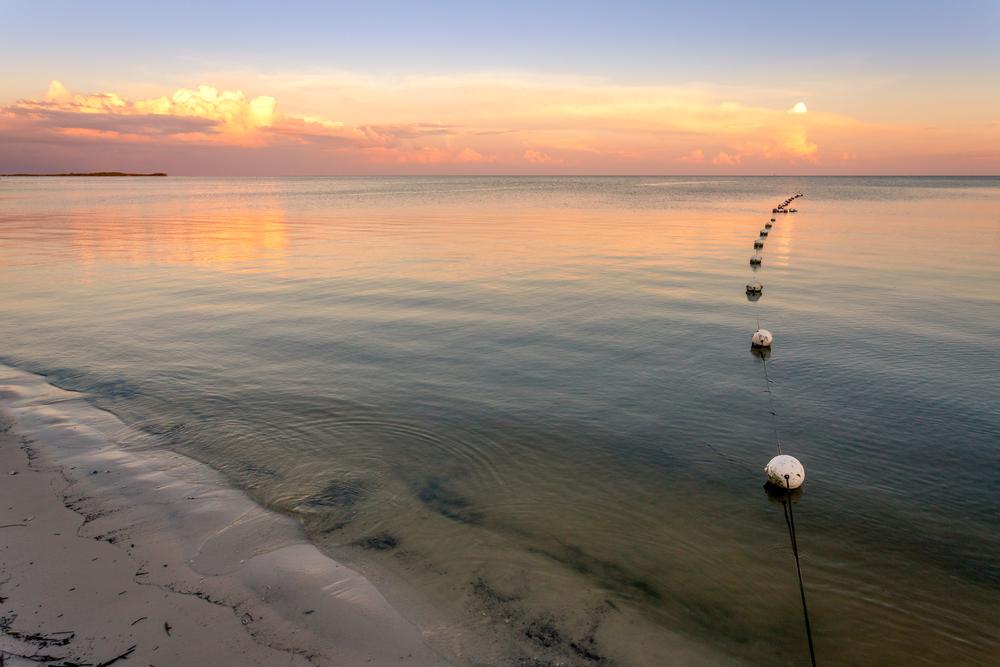 Explore charming island vibes and savor fresh local seafood.