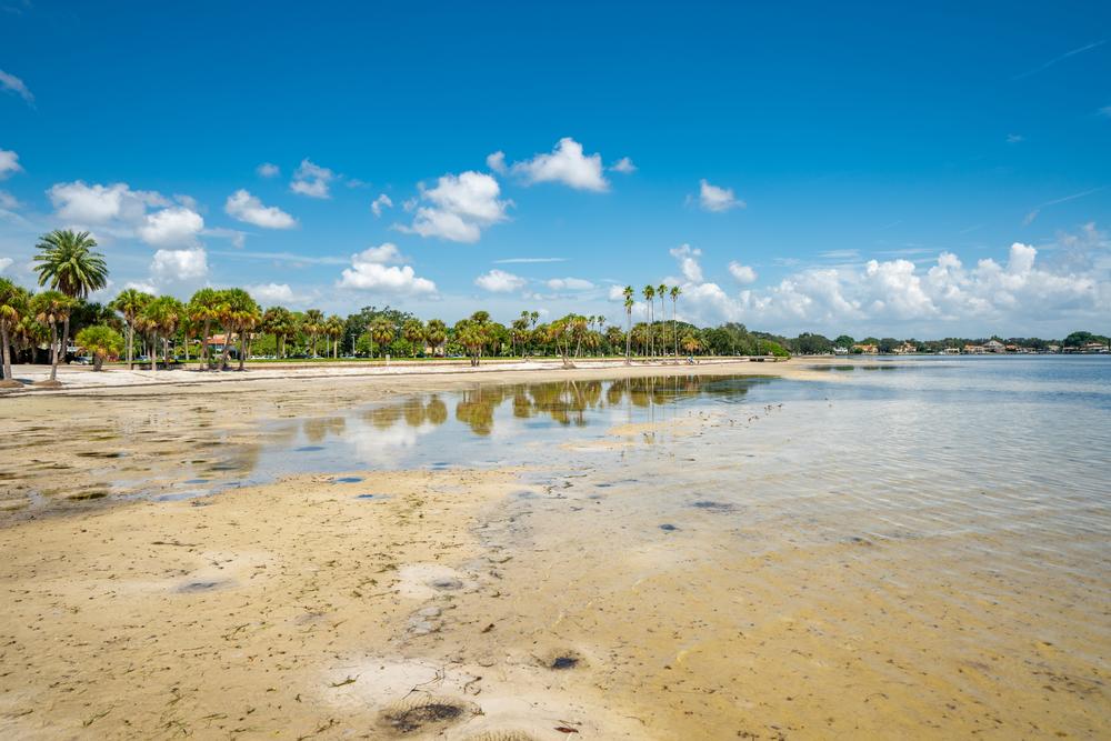 Visit vibrant museums and relax on pristine Gulf Coast beaches.