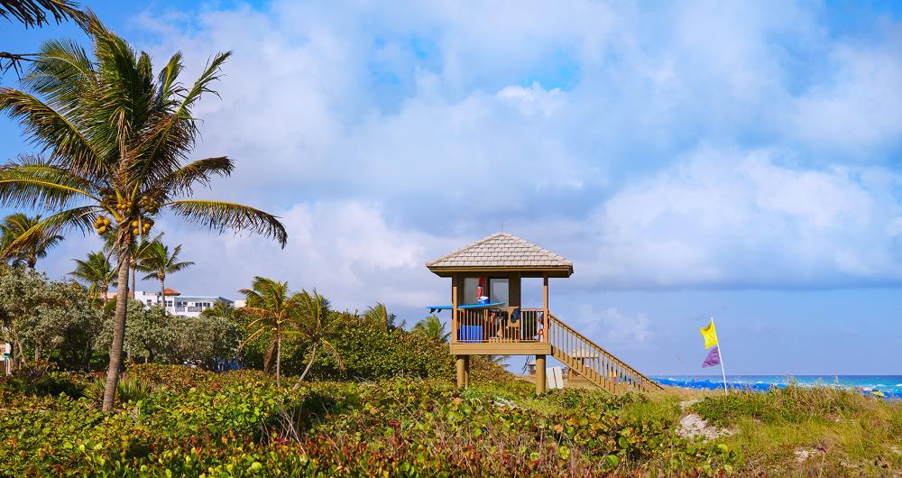 Delray Beach: Bright Mornings & Breezy Bites