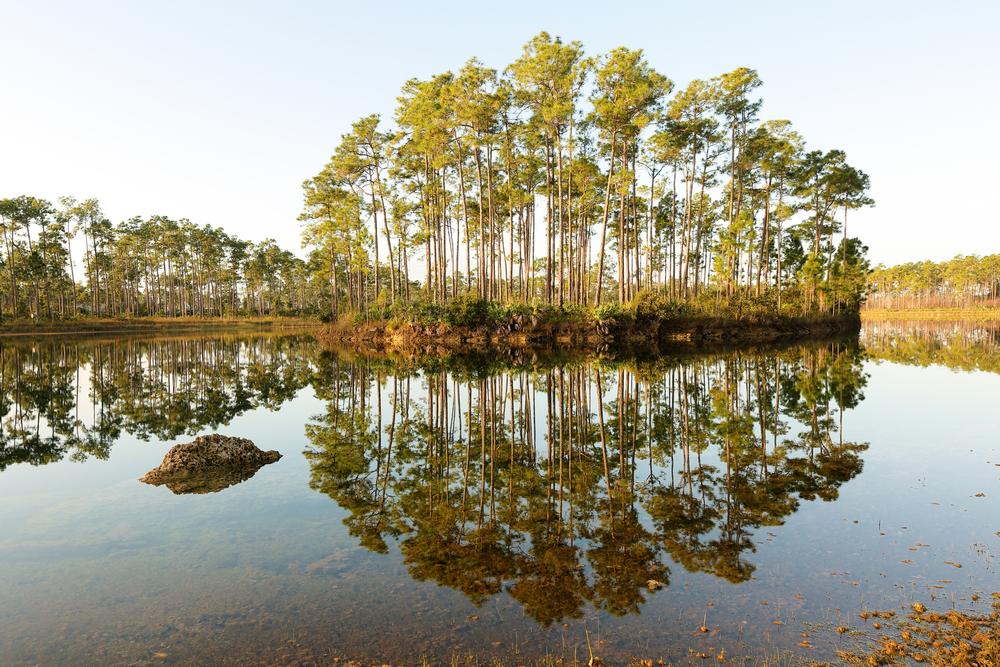 Hillsborough River State Park - a 30-minute drive from Tampa