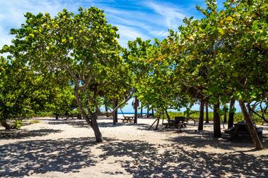 Dania Beach Ocean Park