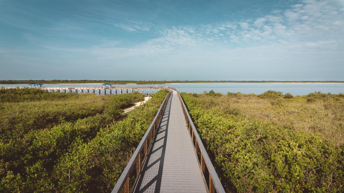 Smyrna Dunes Boardwalk