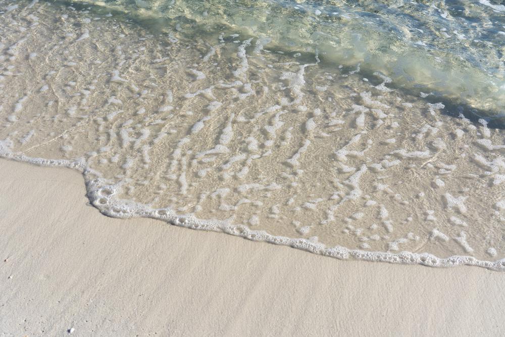 Swim and Sunbathe on Pristine Shores at Henderson Beach State Park