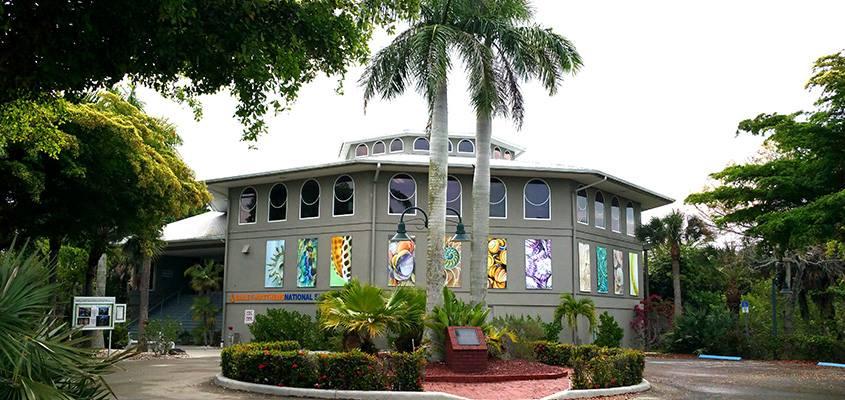 Discover the World of Shells at The Bailey-Matthews National Shell Museum