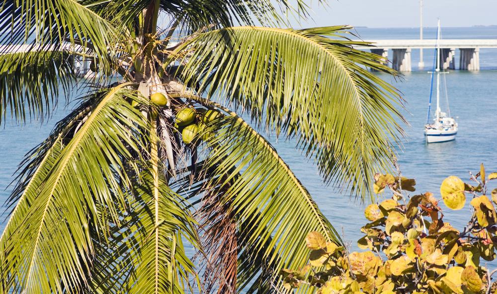 Getting to Key West, Florida