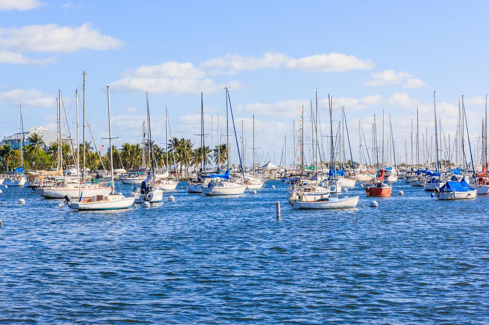 Unwind with a cup of coffee and enjoy a charming neighborhood vibe.