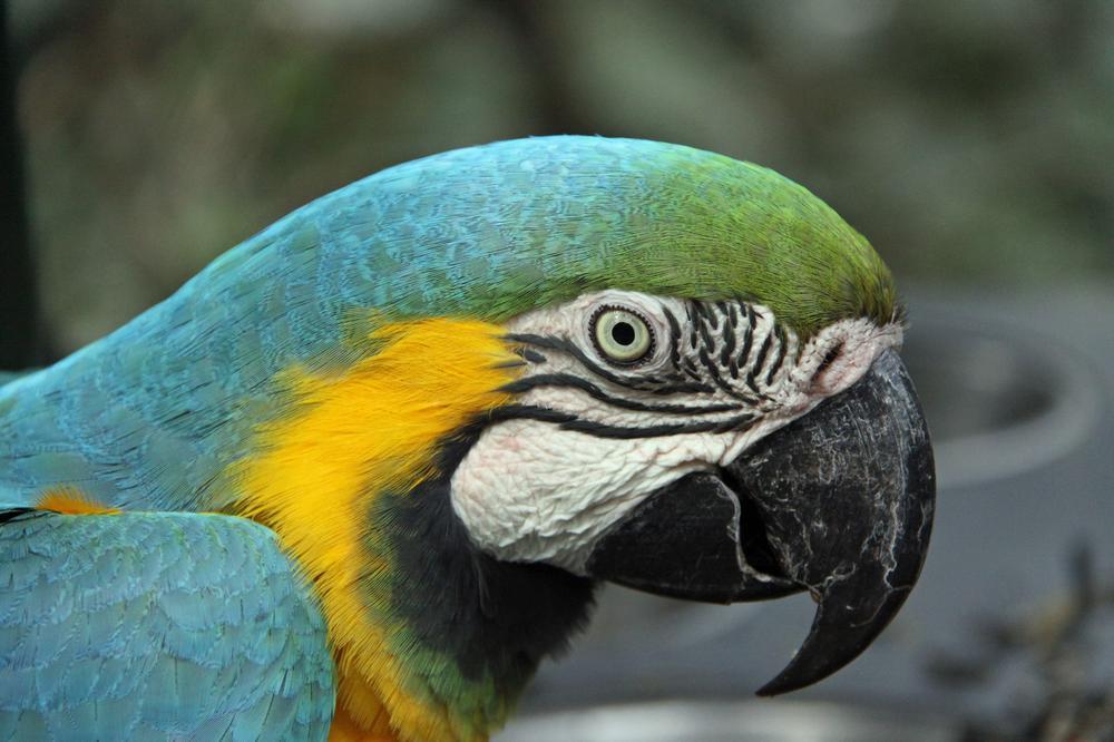 Let kids interact with friendly animals and enjoy family fun.