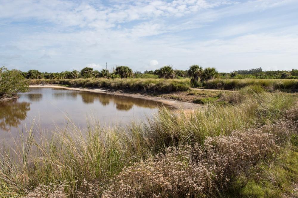 Walk Quiet Nature Trails and Look for Wildlife at the Bailey Tract