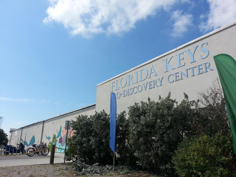Discover Marine Marvels at the Florida Keys Eco-Discovery Center