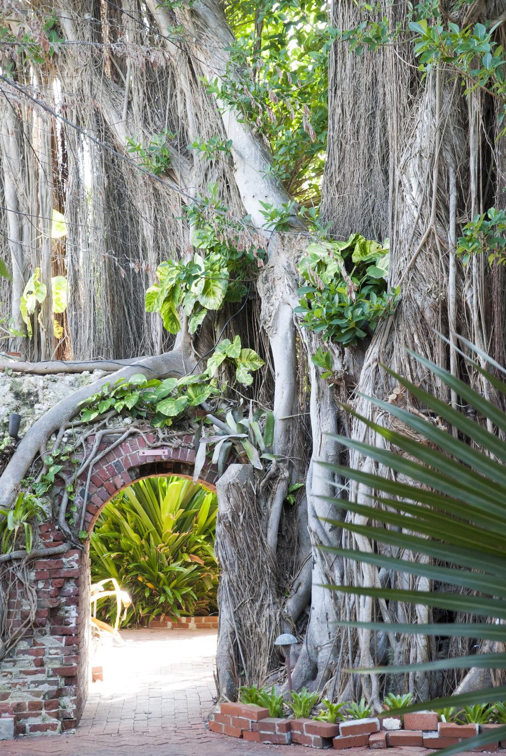 Go for a stroll at the Key West Garden Club