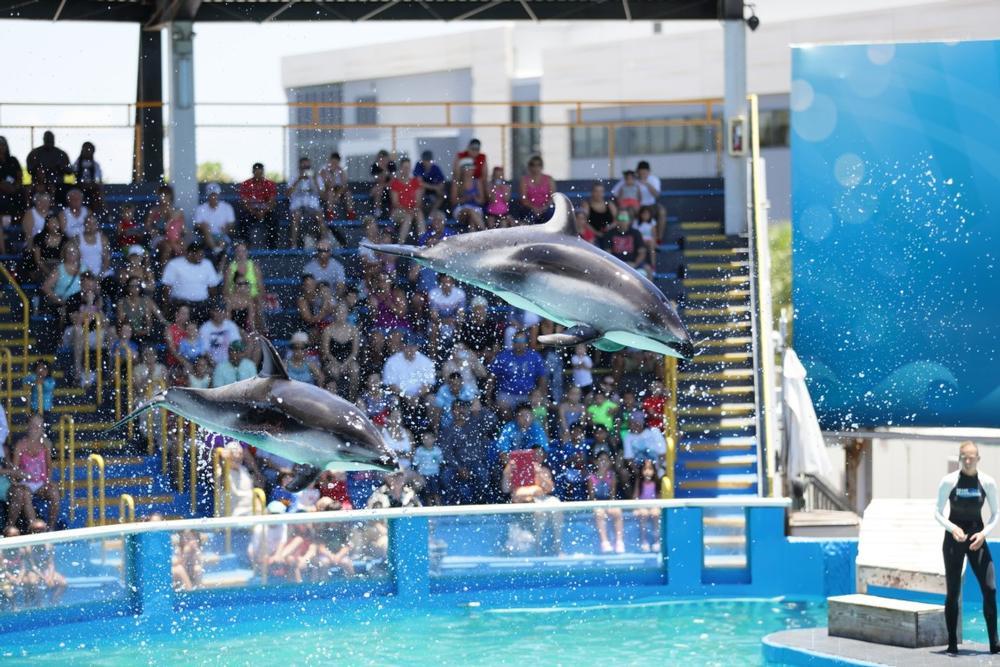 Touch marine animals and explore exciting underwater exhibits.