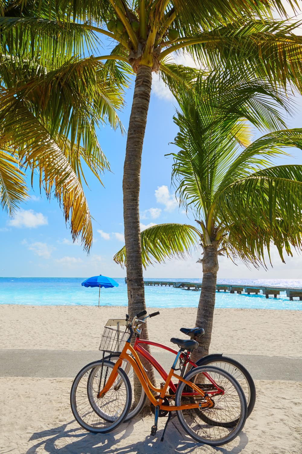 Pedal Through Paradise on Lloyd's Tropical Bike Tour