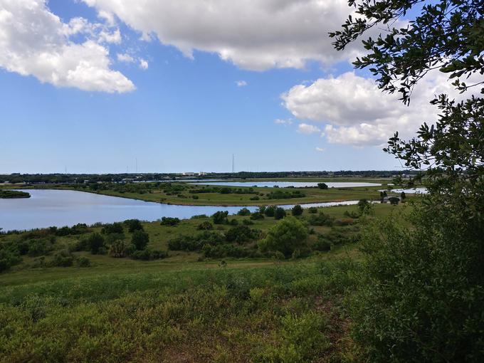 The Celery Fields