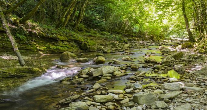 Cascade Springs Nature Preserve