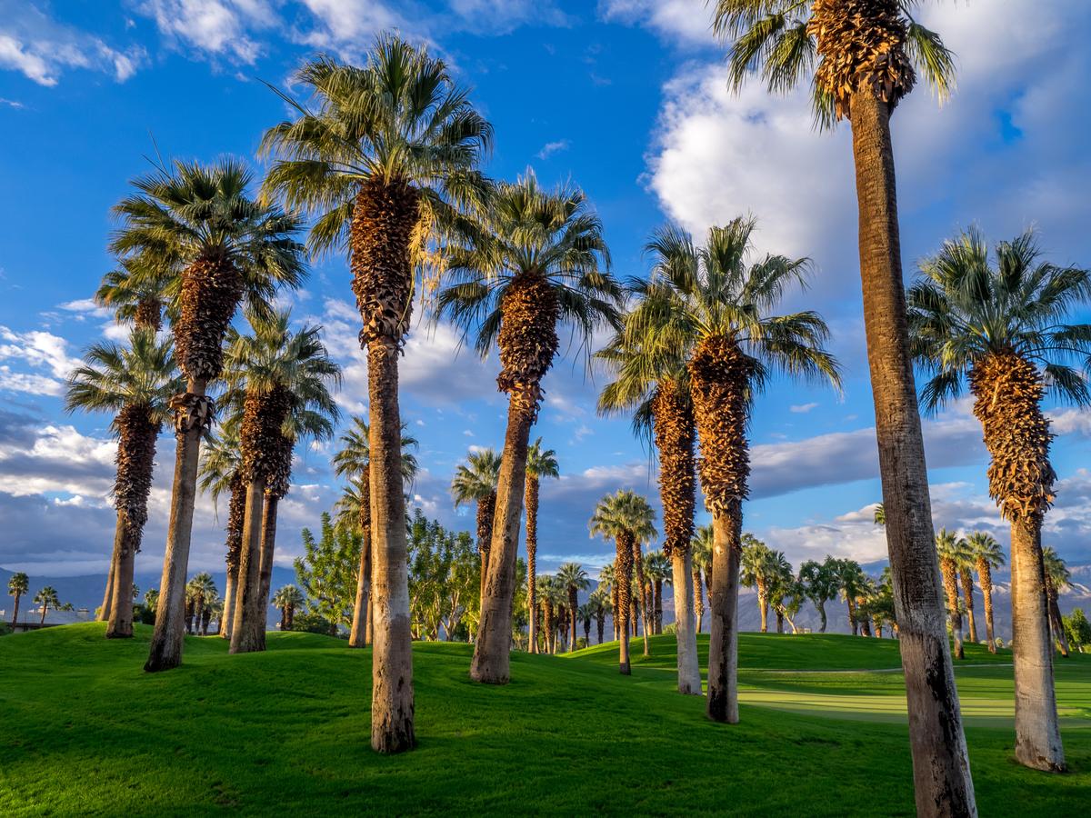 Palm Desert
