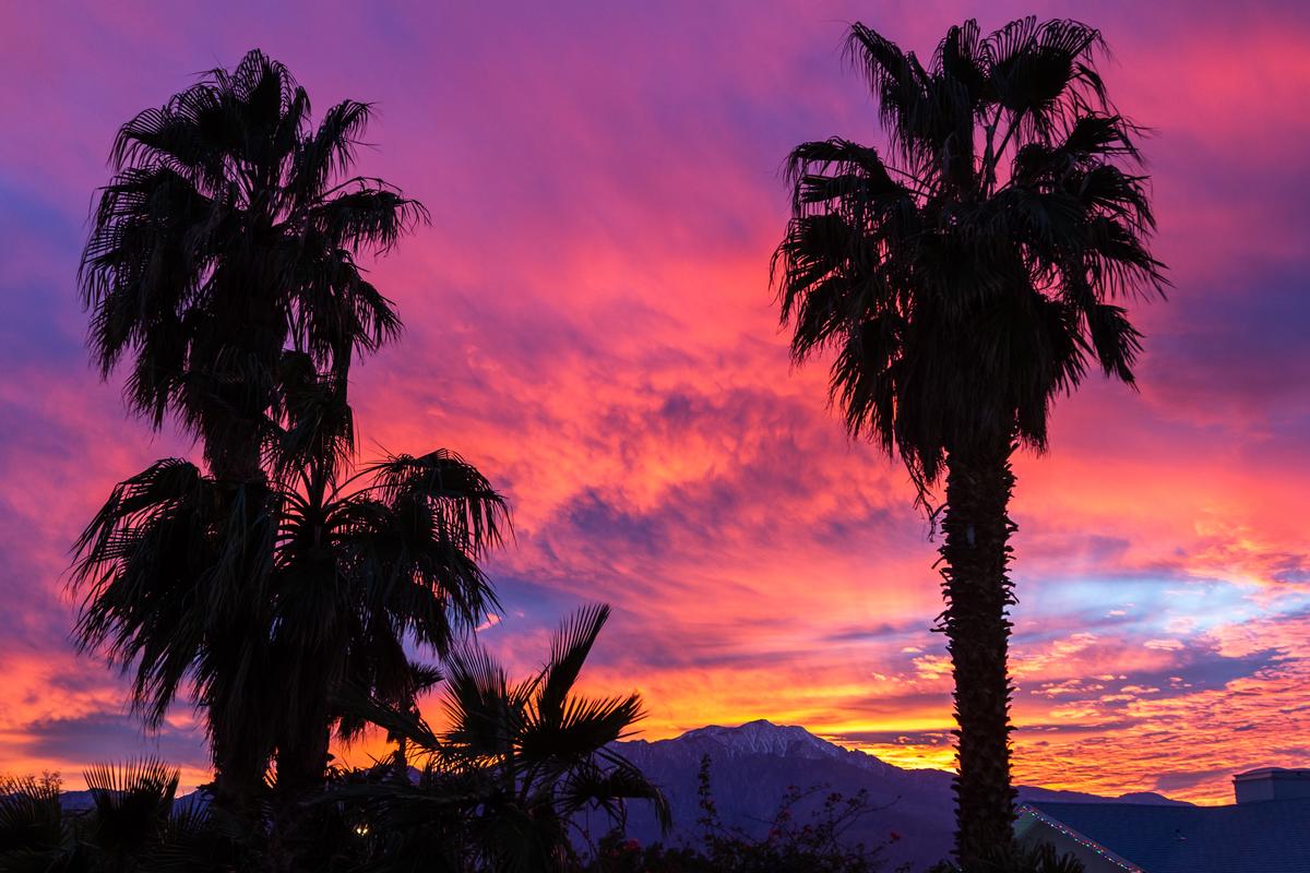 Sunset and palm trees