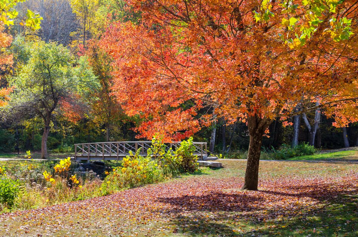 Fall foliage in Connecticut