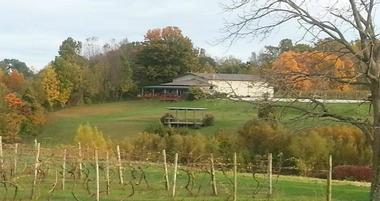 Madison Vineyards Estate Winery