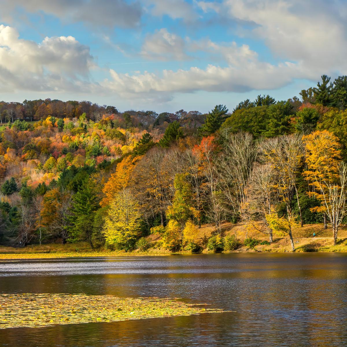 Enjoying autumn beauty in the Blue Ridge Mountains