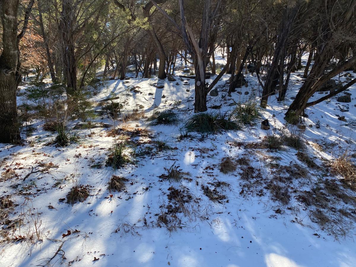 I took this photo during our Door County hike