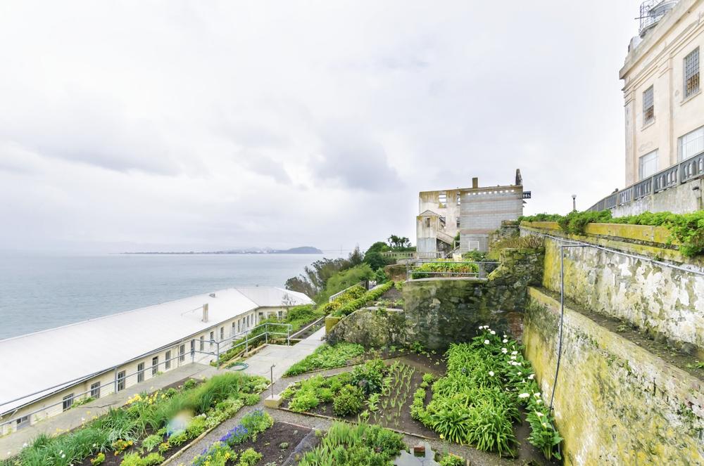 Walk among historic gardens, see rare plant species, and explore a hidden island oasis.