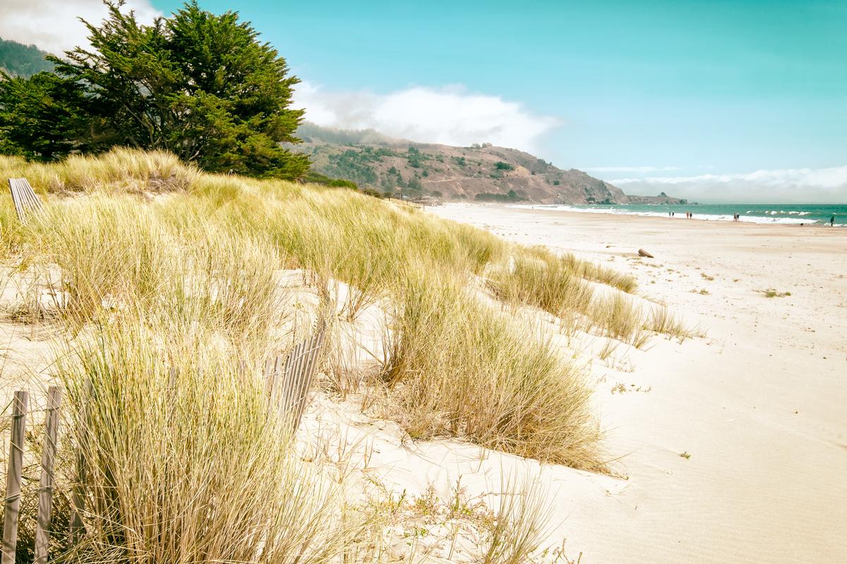 Exploring the dunes