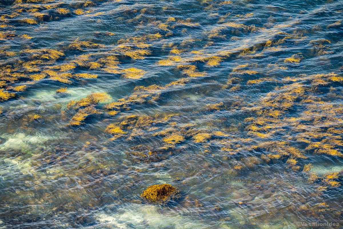 My photo of water from the shoreline