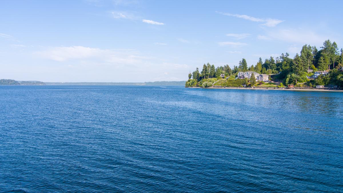 Tolmie State Park