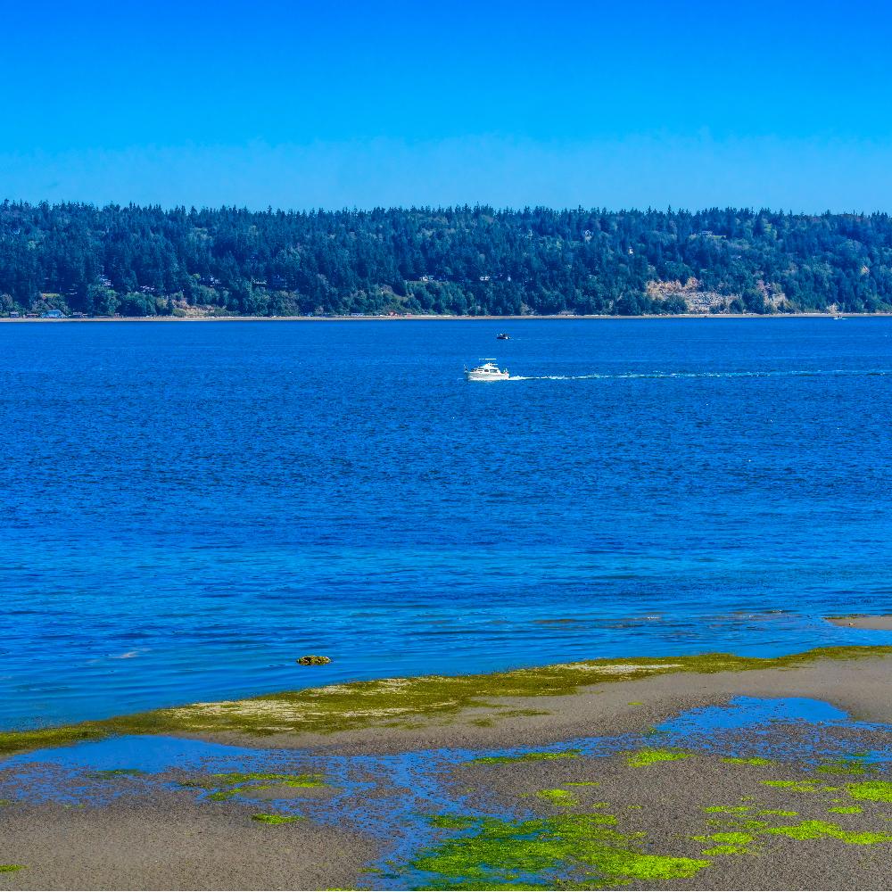 Langley at low tide