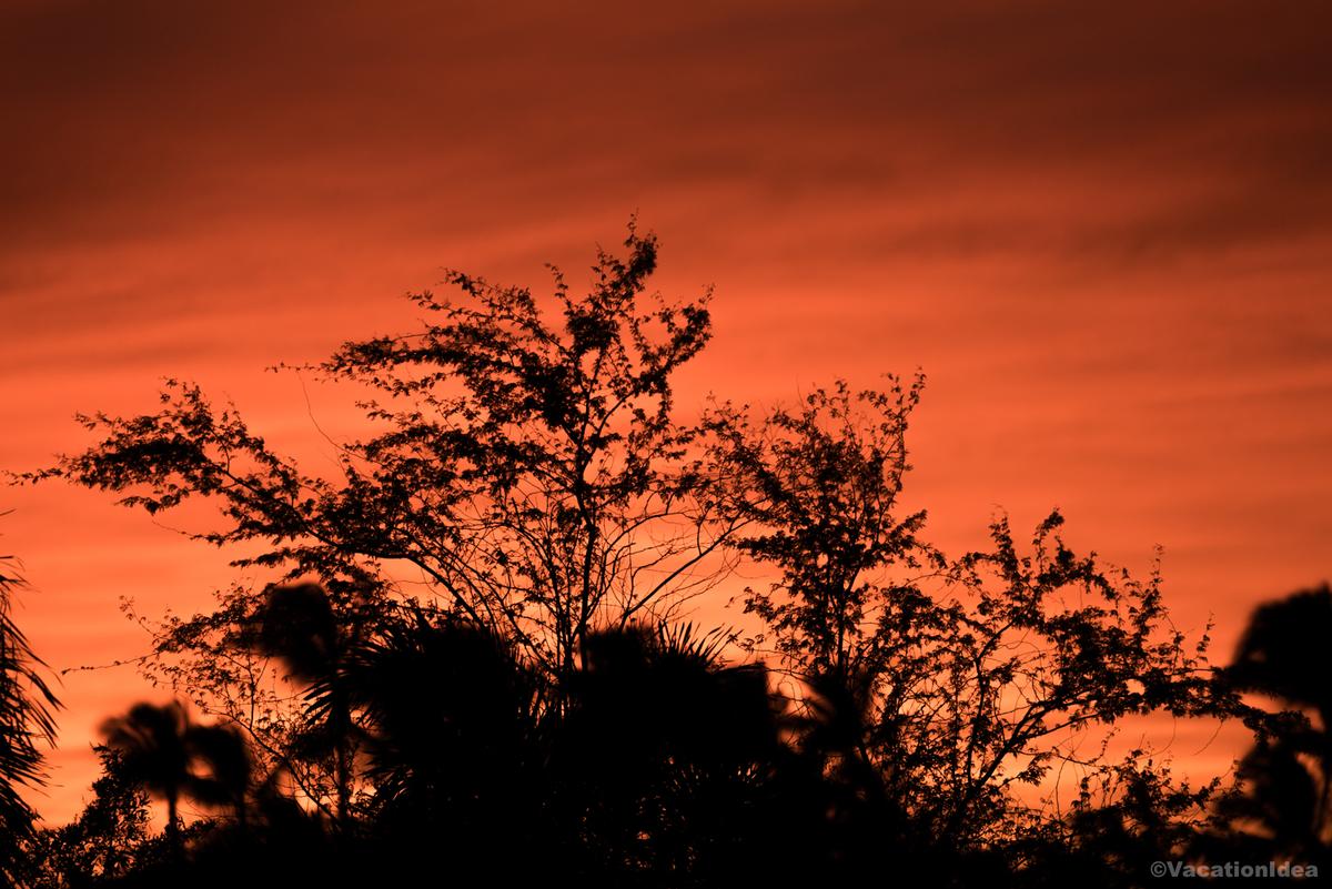 My photo of an orange sunset on the coast