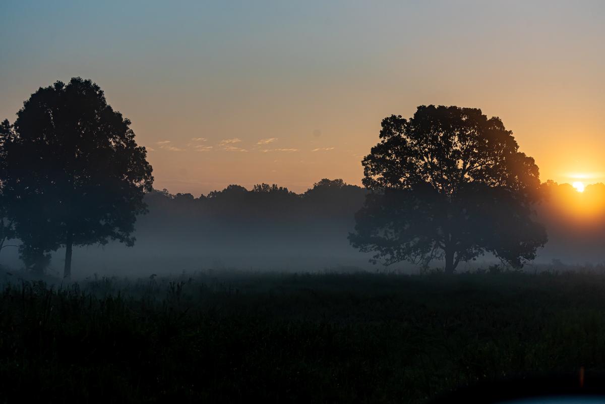 Go hiking on scenic trails and admire wildlife in this outdoor paradise.