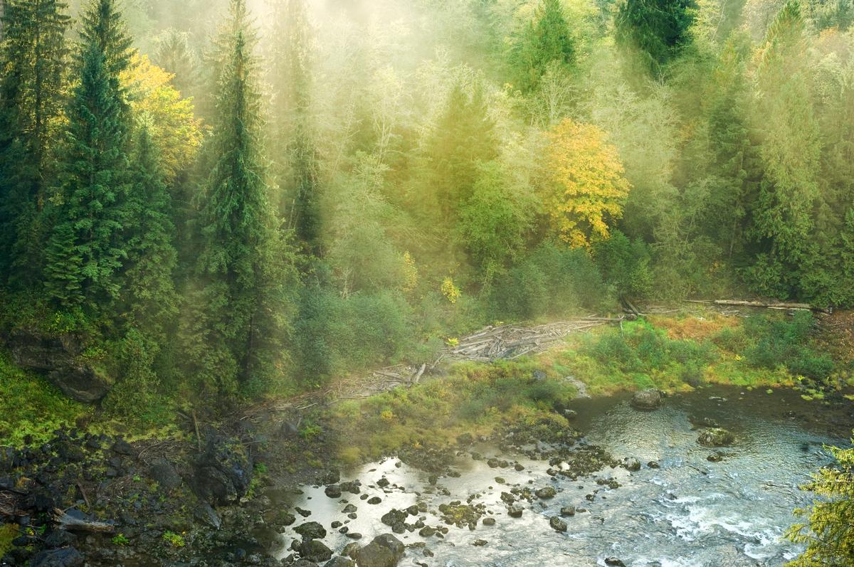 Snoqualmie River view