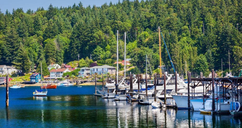  Harbor Mornings & Maritime Calm in Gig Harbor, WA