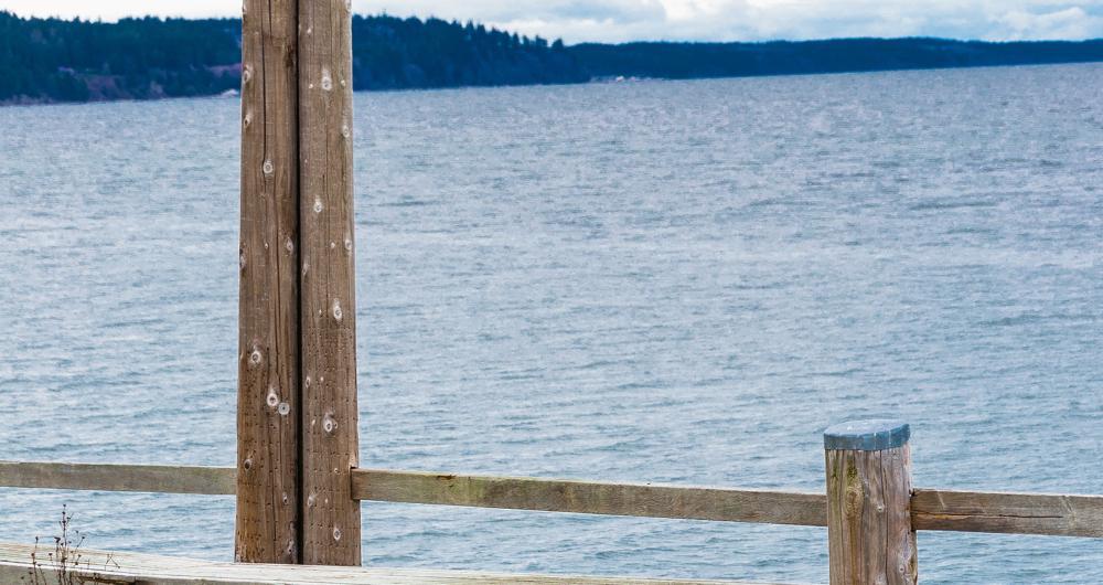 Langley’s Island Stillness
