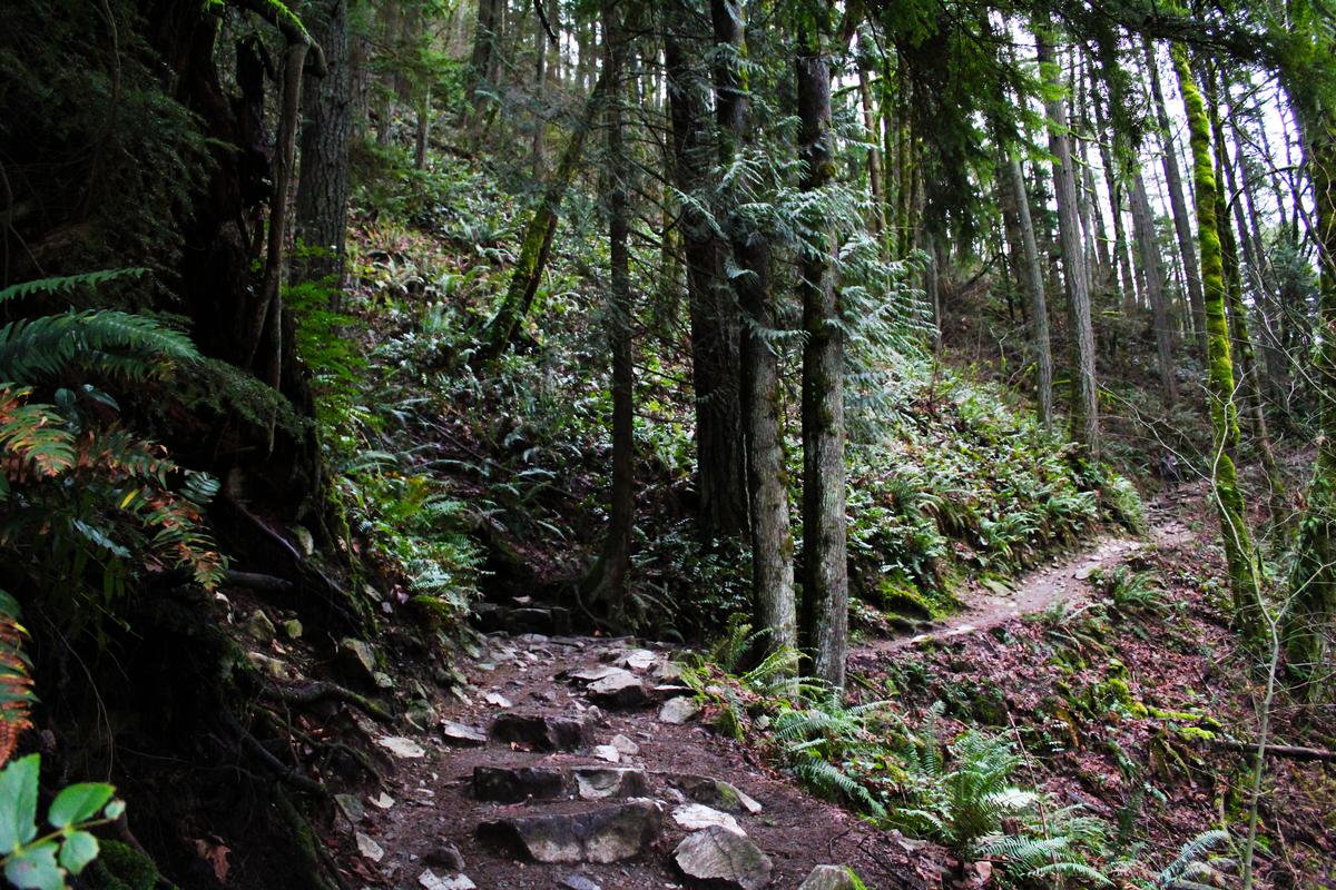 Hiking in Issaquah, WA