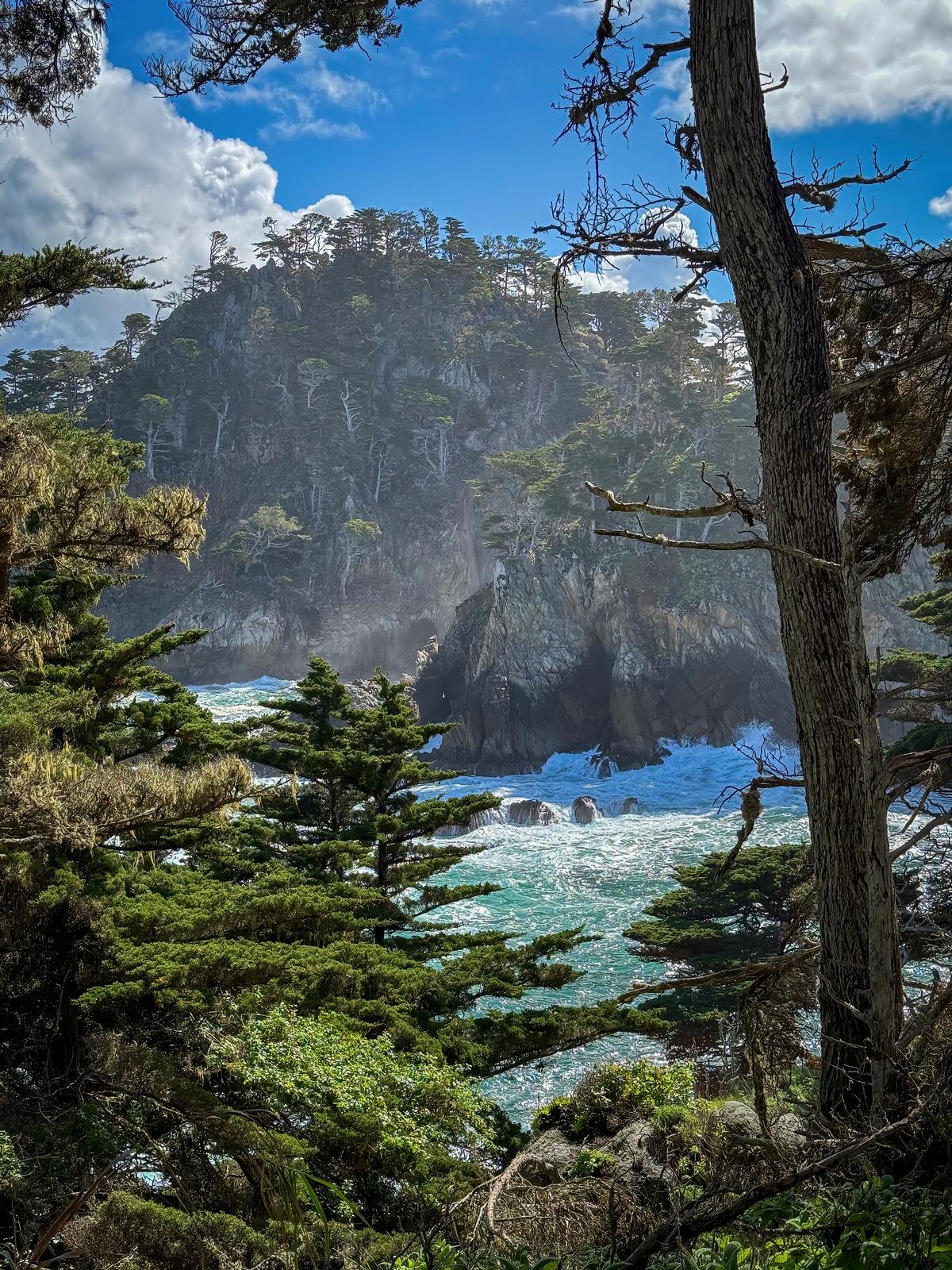 Explore charming streets, visit art galleries, and admire stunning coastal scenery.