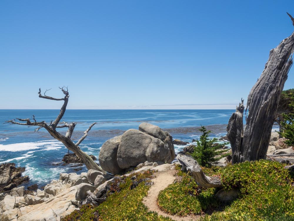 Explore charming streets, visit art galleries, and admire stunning coastal scenery.