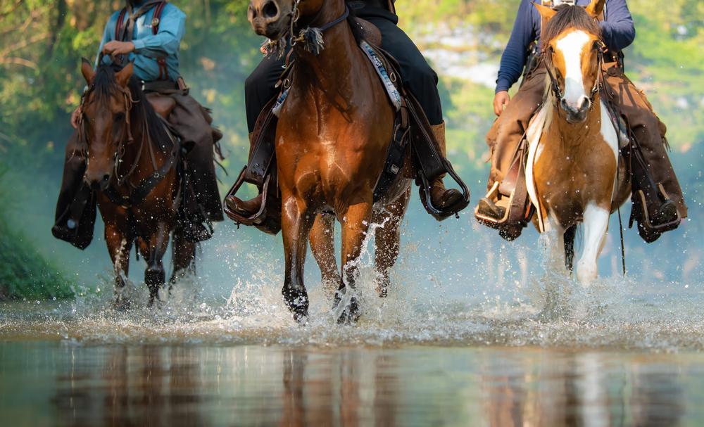 Saddle Up for Serenity at JJJ Wilderness Ranch