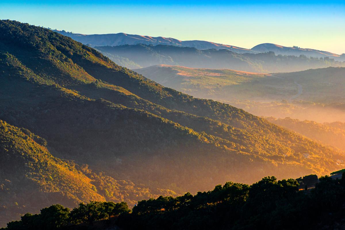 Fine Wine and Food in Carmel Valley - 5 hours
