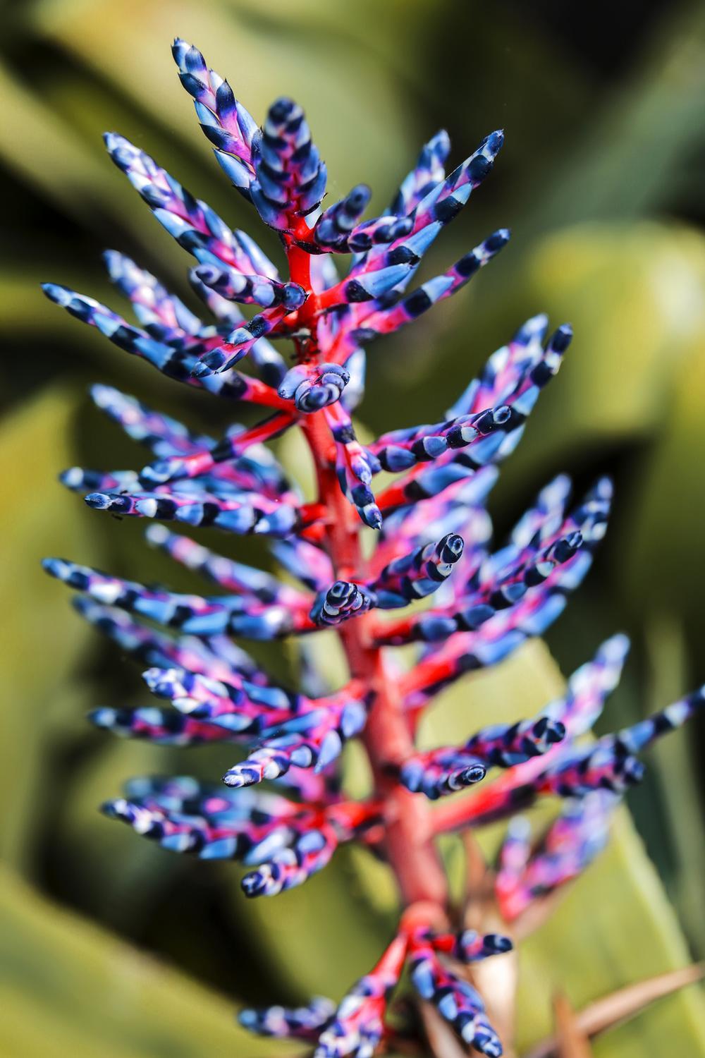 Walk lush trails and discover tropical plants in this peaceful, unusual escape.