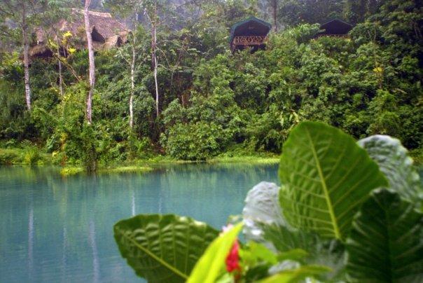 If You Dream of Adventure in the Wild, Book Rafiki Safari Lodge