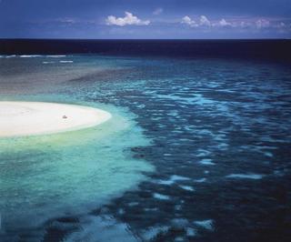 Shipwrecked in Paradise