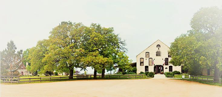 Stroll Lavender Fields and Taste at Becker Vineyards