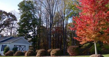 Bed & Breakfast on Tiffany Hill