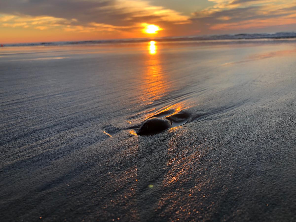 Sunrise in Ogunquit, Maine