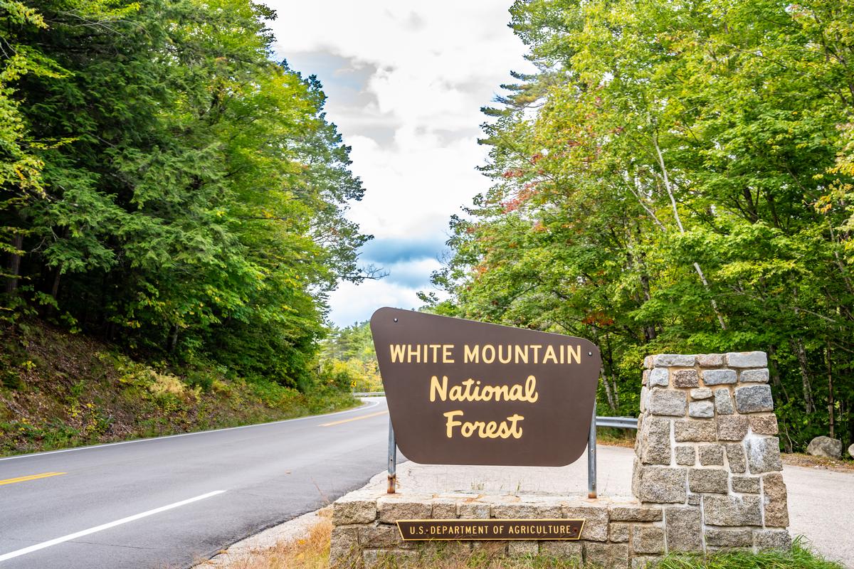White Mountain National Park