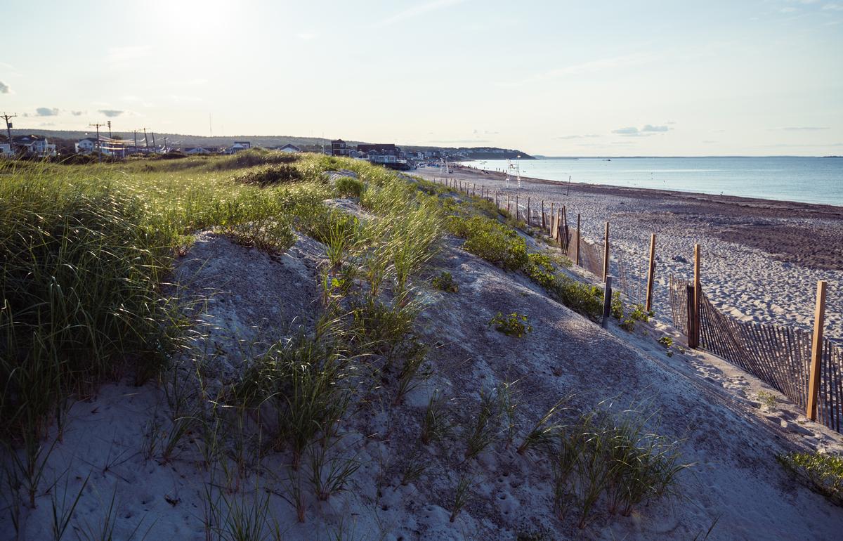 Dunes on the Atlantic Coast