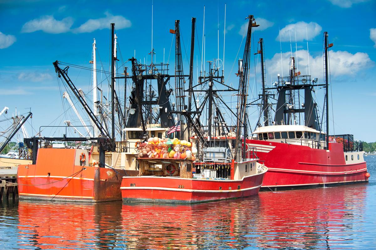 Fishing boats in New Bedford harbor
