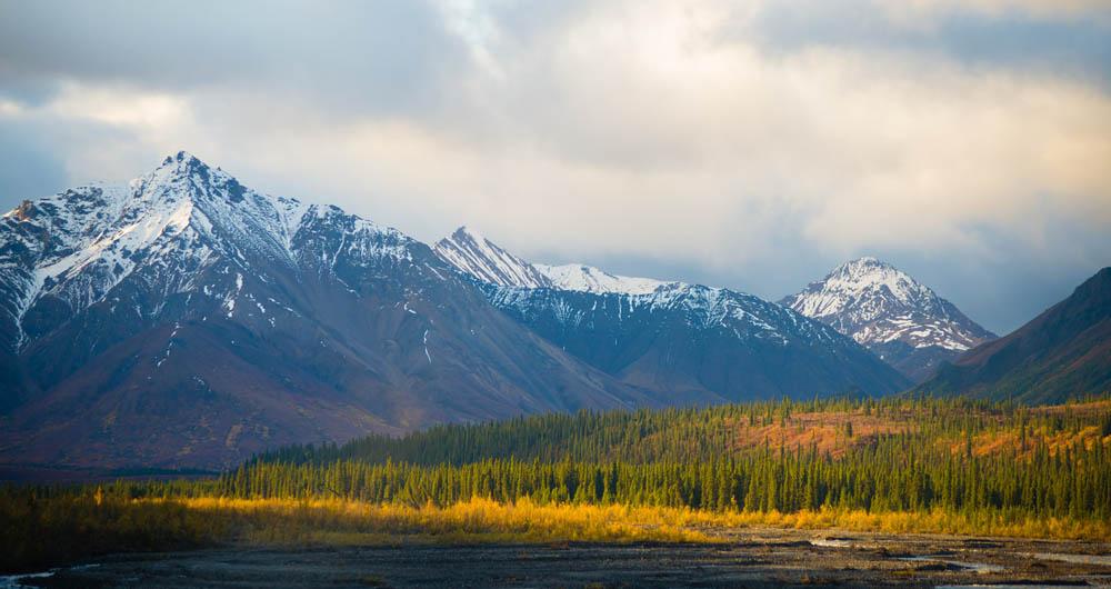 Denali National Park, Alaska